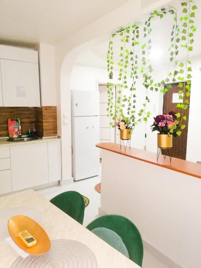 Apartament Near The Park Two Rooms Bukarest Kültér fotó